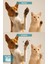 Kedi Köpek Pati Temizleme Köpüğü Pati Yıkama Jeli Hijyen Bakım Spreyi Nano Series 3