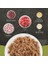 Tuna&chicken Cat Canned 85 gr 2