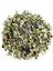 Ebegümeci 50 gr 2