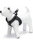 Köpek Göğüs Tasması, Neopren, Siyah, S, 38-44CM Ferrg 1