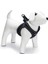 Köpek Göğüs Tasması, Neopren, Siyah, S, 38-44CM Ferrg 2