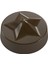Polikaron Çikolata Kalıbı Round Pralines Mould No: 137 2