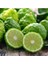 Bergamot Su Bazlı Aroma Verici 250 gr 2