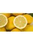 Su Bazlı Aroma Verici Limon 250 gr 2