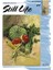 Collection Still Life Desen Kitabı N:24 N 1