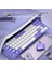 Ajazz AK680 65% Kablolu Hotswap Mekanik Oyun Klavyesi,68 Tuşlu Taşınabilir Anti-Ghosting Klavye,gökkuşağı Arkadan Aydınlatmalı Programlanabilir,eva Sandviç,ergonomik Mor Beyaz/brown Switch 2