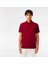 Polo Paris Regular Bordo 5