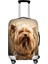 Z6068F26 Stili M Beden Twoheartsgirl Yıkanabilir Bavul Kılıfı Sevimli Dachshund Köpek Seyahat Bavul Koruyucu 18 Ila 32 Inç Bagajın Üzerine Uygun Fermuar Kapanışı (Yurt Dışından) 1