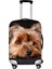 Z6070F26 Stili L Beden Twoheartsgirl Yıkanabilir Bavul Kılıfı Sevimli Dachshund Köpek Seyahat Bavul Koruyucu 18 Ila 32 Inç Bagajın Üzerine Uygun Fermuar Kapanışı (Yurt Dışından) 1