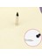 Fiş Tutucu Spike, 3 Inç Yuvarlak Taban, 5.6 Inç Uzunluk 1 Paket (Yurt Dışından) 3