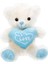 01000 Kalpli Peluş Ayı 30 cm 4
