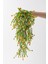 Yapay Renkli Sarmaşık 75 cm 5 Dal 4