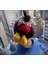 Mickey Lastik Simit Toka 2