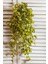 Yapay Renkli Sarmaşık 80 cm 5 Dal 2
