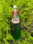 Tarhun Aromalı Gürcistan Limonatası (1 Adet) (1 Litre) 1