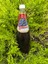 Üzüm Aromalı Gürcistan Limonatası (1 Adet)-(1 Litre) 1