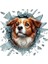Fulcar Australian Shepherd Araç Stickerı 1