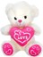 01000 Kalpli Peluş Ayı 30 cm 3