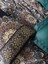 Cotton Box Çift Kişilik Saten Nevresim Takımı Ornate Petrol 2