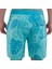 Phantom-Eco Classic 18 Erkek Yeşil Boardshort 4