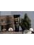 Morgan's Instant Beard Darkening Cream - Sakal Koyulaştırıcı Bakım Kremi 100 ml 3