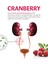Cranberry 60 Kapsül 4