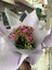 Kalanchoe 1