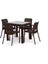 Rattan Small Lüx Camlı Kahve Masa Takımı Bahçe&balkon 1 Camlı Masa 4 Sandalye 1
