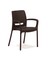 Rattan Small Lüx Camlı Kahve Masa Takımı Bahçe&balkon 1 Camlı Masa 4 Sandalye 4