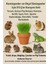 Tavşan Çimi - 100 Gram -(Guinea Pig, Hamster,iguana)- 5'li Tohum Karışımı 1
