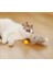 Tüylü Şarjlı Kedi Oyuncağı 4