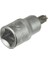 Lokmalı (Star) Torx Bits Uç - T30 (10 Adet) 1