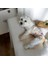 Dişi Köpek Periyod Külotu, Dişi Köpek Zıbın Külot 2