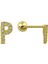 Gold Harf Piercing - P Harfpiercing 1