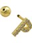 Gold Harf Piercing - P Harfpiercing 5