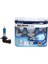 Ampul 12V Hb4 80 P22D Sky Blue Beyaz Işik Bstmy 1