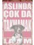 Aslında Çok Da Takmamak Lazım Komik Duvar Yazıları Retro Ahşap Poster 1