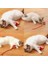 Şarjlı Kedi Oyuncağı 1