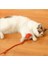 Şarjlı Kedi Oyuncağı 4