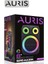 KLN200 25W 8 Inç Mikrofonlu Rgb Bluetooth Hoparlör 2