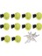Otomatik Güvercin Waterer Büyük Kapasiteli Kümes Hayvanları Suluk Pet Kuş Güvercin PARROTS8MM / 0.3 In (Yurt Dışından) 4