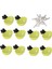 Otomatik Güvercin Waterer Büyük Kapasiteli Kümes Hayvanları Suluk Pet Kuş Güvercin PARROTS6MM / 0.2 In (Yurt Dışından) 3