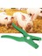 Metal Kümes Hayvanları Kulak Etiketi Pense Ekipmanları Hayvancılık Işaretleme Aracı Çiftlik Hayvanları Için Yeşil (Yurt Dışından) 4