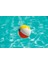 Nessiworld Deniz Topu Dilimli 51 cm 2