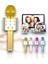 Karaoke Mikrofon ve Hoparlör Bluetooth Hoparlör - Şarjlı ve Taşınabilir Ses Deneyimi 4