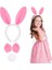 Pembe Tavşan Kostüm Seti - Taç, Papyon, Ponpon (12 Li Paket) 2