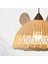 Teddy Rattan Bambu Avize 2