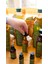 Keten Tohumu Yağı 100 ml - Doğal Soğuk Sıkım - Omega3 Kaynağı 6