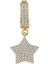 14 Ayar Taşlı Yıldız Tasarım Altın Kolye Ucu 1