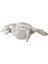 Crab Beyaz Biblo 28X19X7CM 2
